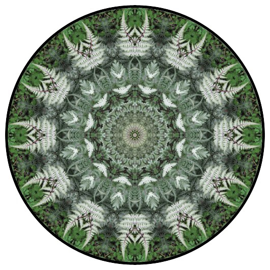 botanical mandala, mandala art