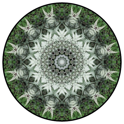 botanical mandala, mandala art
