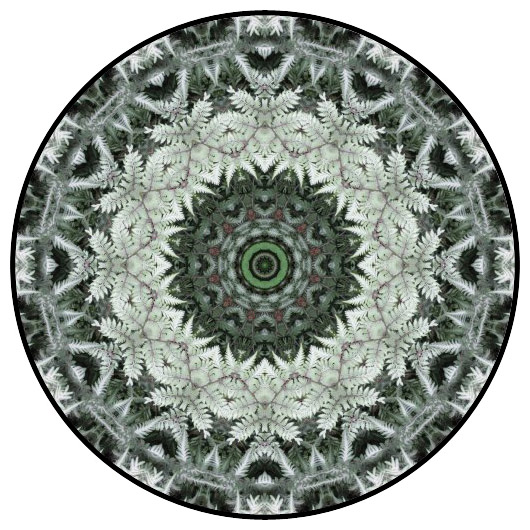 botanical mandala, mandala art