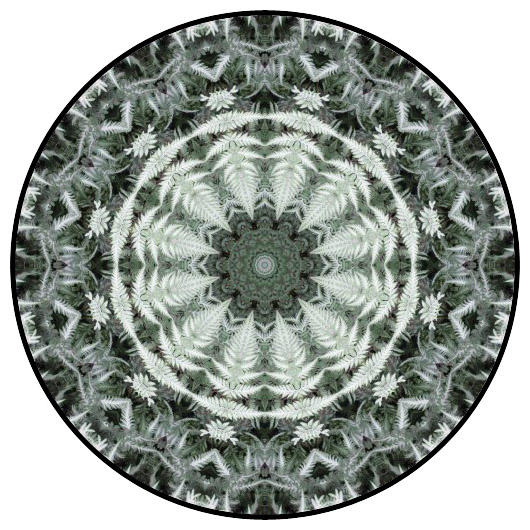 botanical mandala, mandala art