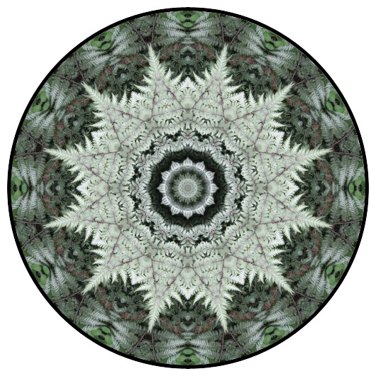 botanical mandala, mandala art