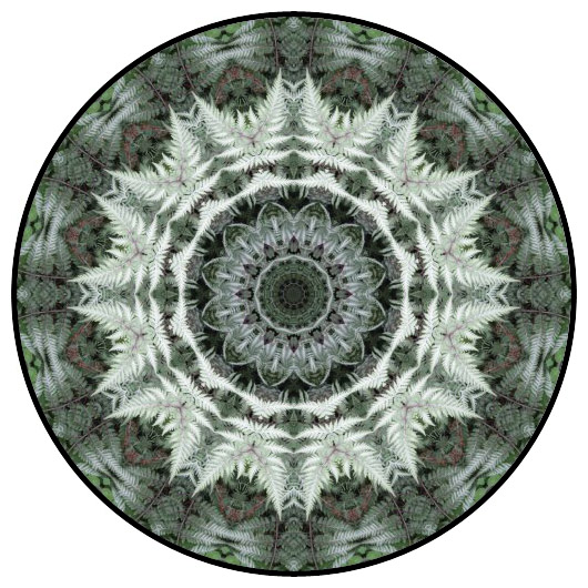 botanical mandala, mandala art