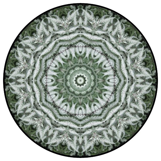 botanical mandala, mandala art