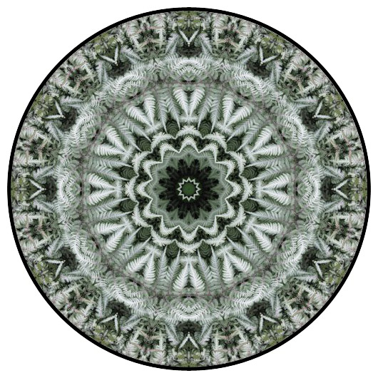 botanical mandala, mandala art
