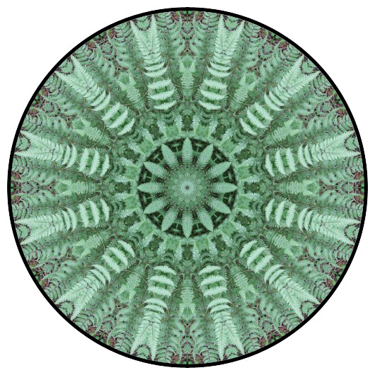 botanical mandala, mandala art