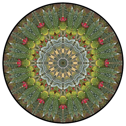 botanical mandala, mandala art