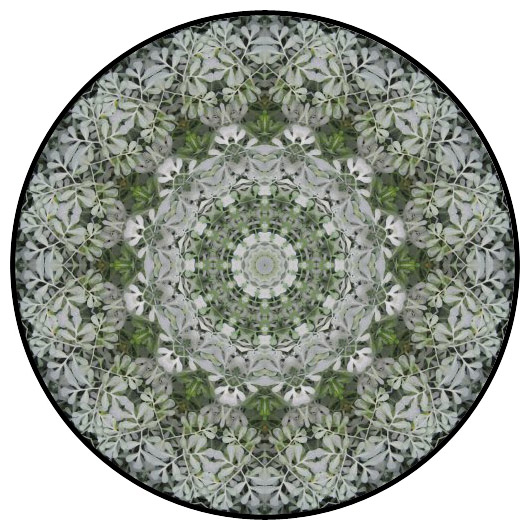 botanical mandala, mandala art