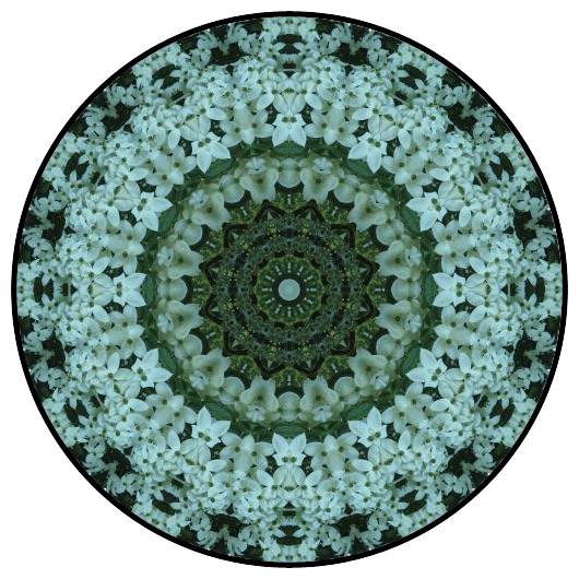 botanical mandala, mandala art
