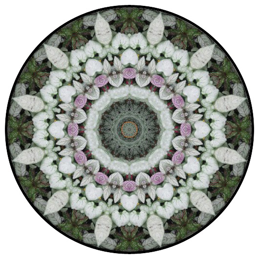 botanical mandala, mandala art