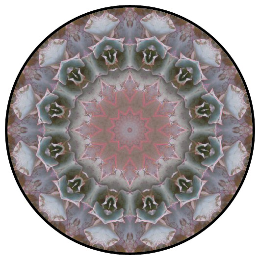 botanical mandala, mandala art