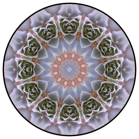 botanical mandala, mandala art