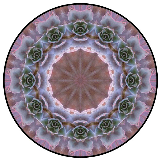 botanical mandala, mandala art