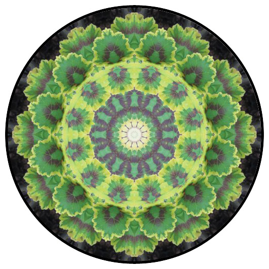 botanical mandala, mandala art