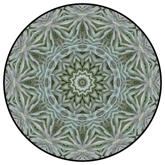 botanical mandala, mandala art