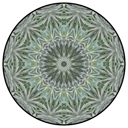 botanical mandala, mandala art