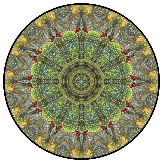 botanical mandala, mandala art