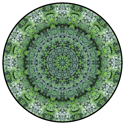 botanical mandala, mandala art