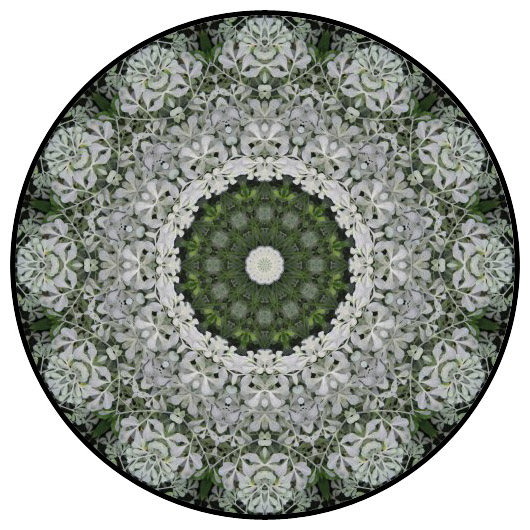 botanical mandala, mandala art