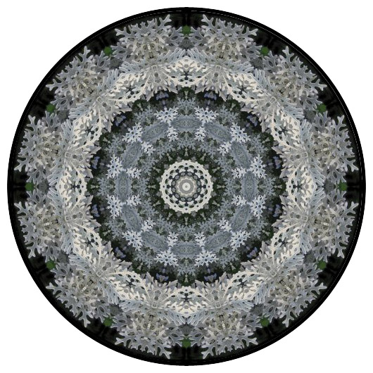 botanical mandala, mandala art