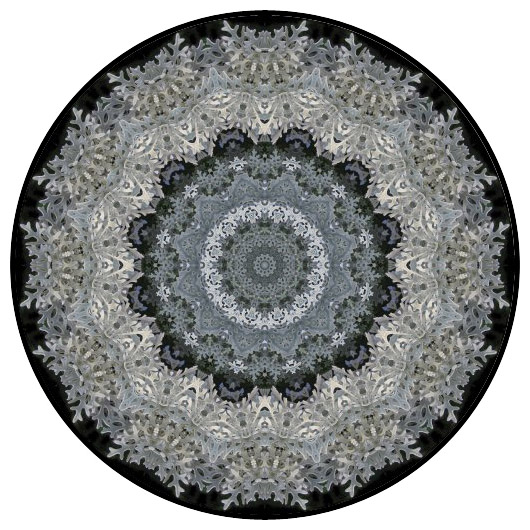 botanical mandala, mandala art