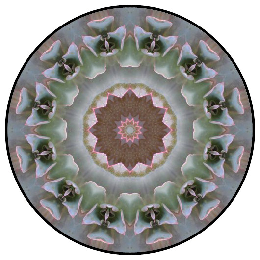 botanical mandala, mandala art