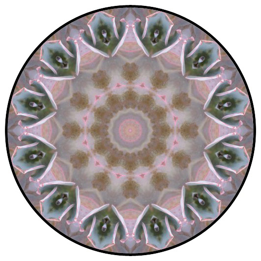 botanical mandala, mandala art