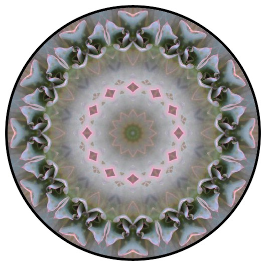 botanical mandala, mandala art