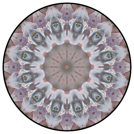 botanical mandala, mandala art