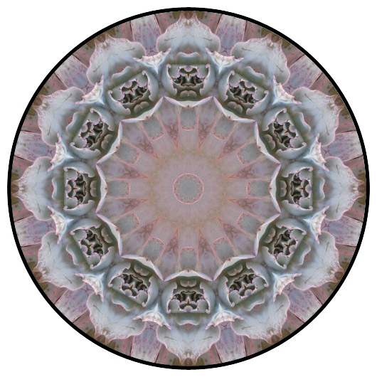 botanical mandala, mandala art
