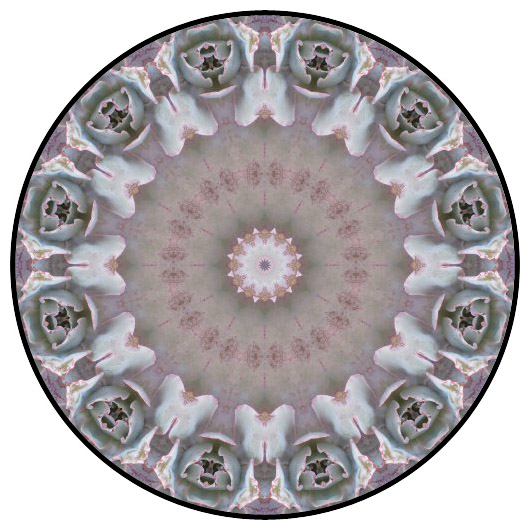 botanical mandala, mandala art
