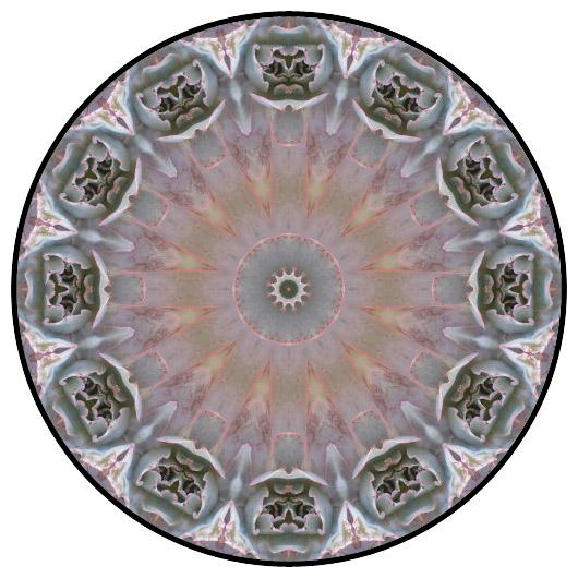 botanical mandala, mandala art
