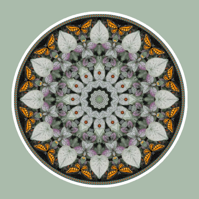 Butterfly Circle, Mandala Art