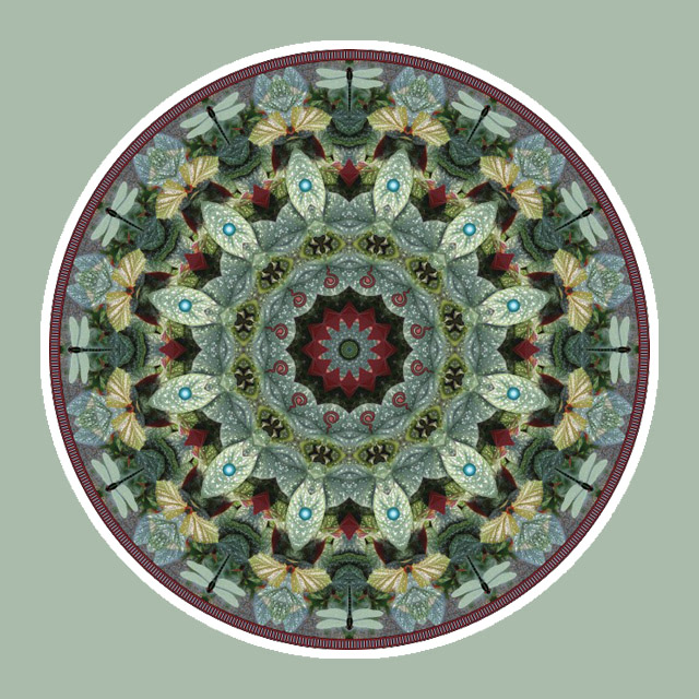 Dragonfly Wheel, Mandala Art