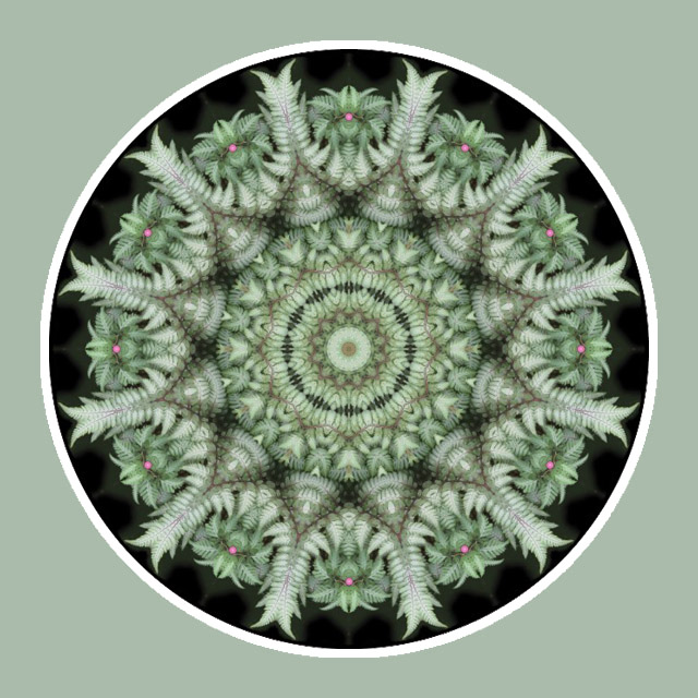 Fern Fantasia, Mandala Art