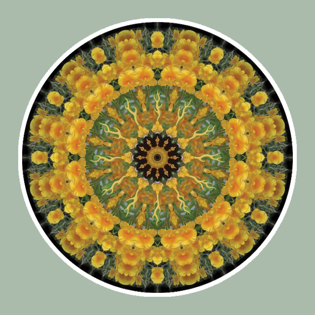 Orchid Sunburst, Mandala Art