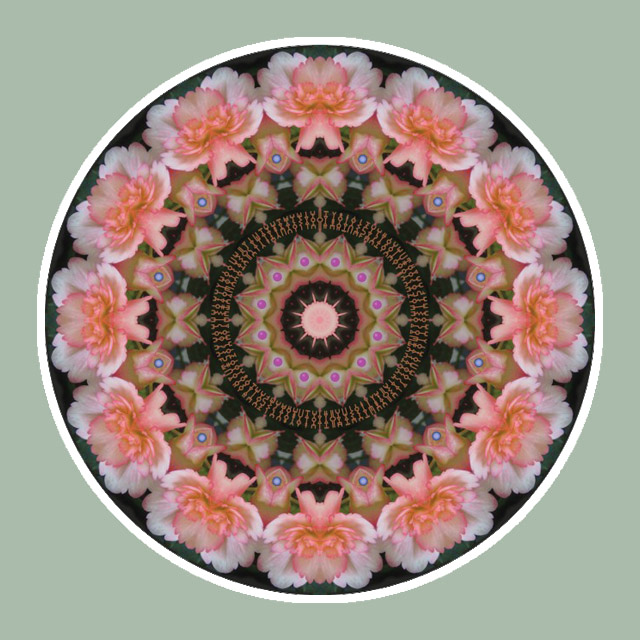 Pink Flowercircle, Mandala Art