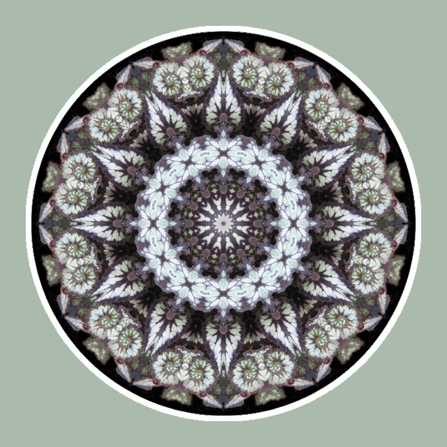 Ramshorn Mandala, Mandala Art