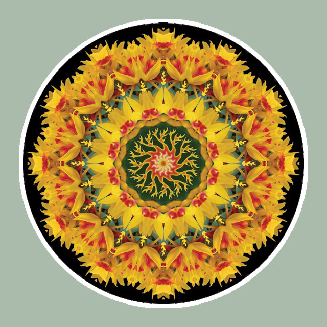 Yellow Flamewheel, Mandala Art