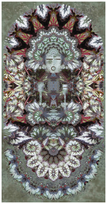 winddancer.jpg (114292 bytes)